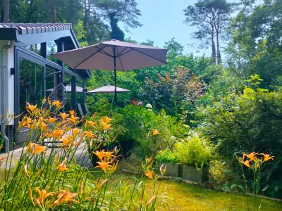 Oranje daglelies in bloei in de tuin, met parasols op het terras van het boshuis