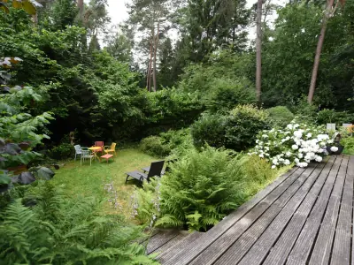Bostuin vanaf het houten terras met varens, witte hortensia’s, gekleurde tuinstoelen op het gazon en hoge dennen