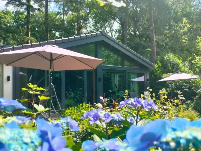 Blauwe hortensia’s en parasols in de zomerse tuin voor het boshuis